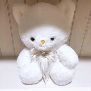 새하얀 친구 봉제 인형 고양이