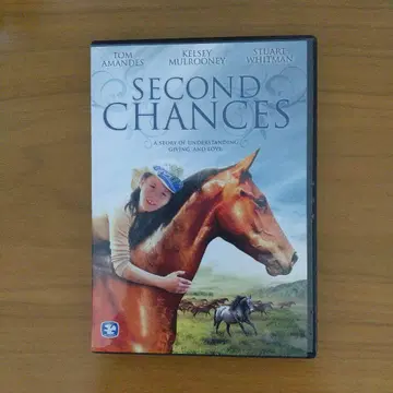 SECOND CHANCES 세컨드 찬스