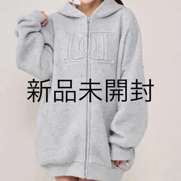 Darich 다리치 DD 로고 비쥬 지퍼 후드티