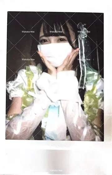 와카바 노아 폴라로이드