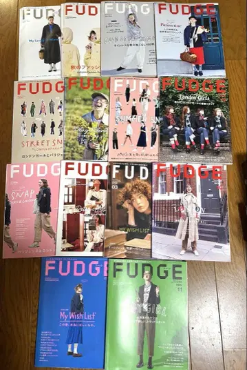 FUDGE 2018~2022년