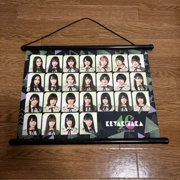 케야키자카46 패브릭 포스터