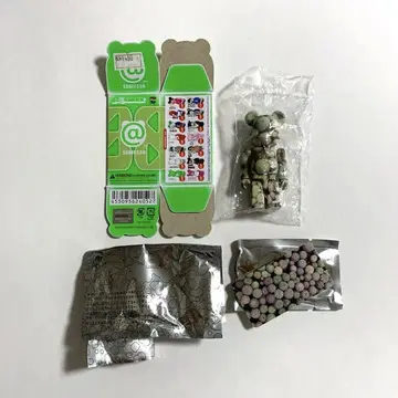베어브릭 38 시크릿 보타나이즈 botanize