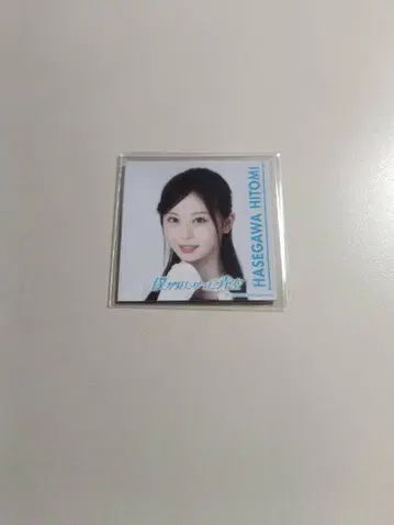 하세가와 마레 마그넷