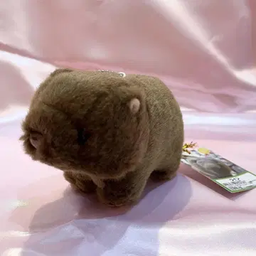 웜뱃 봉제 인형 마스코트 키링 고사츠키야마 동물원 와인