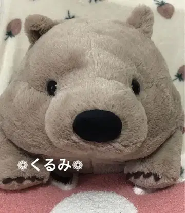 땅딸이 원피 울트라 BIG 웜뱃 봉제 인형