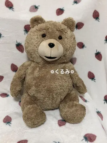 [레어] 선애로우 Ted 봉제 인형 테드 앉은 자세 L 사이즈