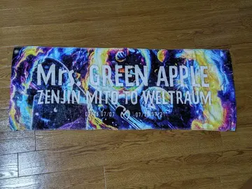 Mr. GREEN APPLE 타월 젠진
