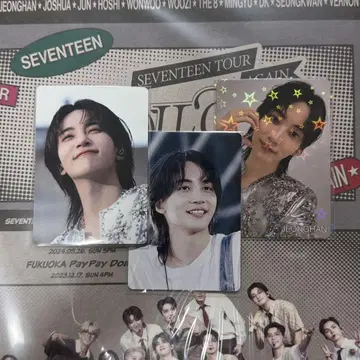 정한