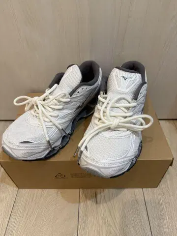 MIZUNO WAVE PROPHECY LS 실버 27cm