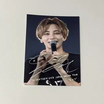 SEVENTEEN 정한 2018 SVT