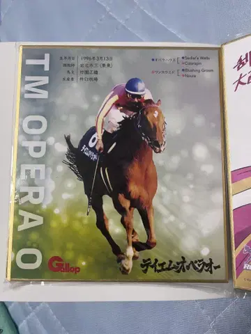 명마전사 색지 컬렉션 테이엠 오페라 오 미니 색지 mini 색지