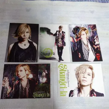 Acid Black Cherry Shangri-la 사진 세트