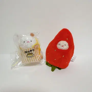 쥐 봉제 인형 & 인형옷 컬렉션