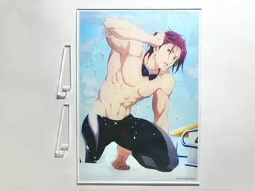 Free! 마츠오카 린 아크릴 플레이트