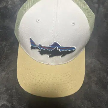 파타고니아 Patagonia 캡