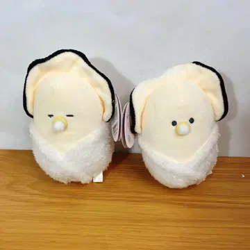 초롱초롱한 눈망울의 생굴 싸개 스야 바부