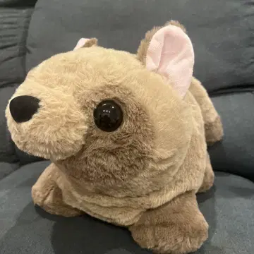 너구리 퐁퐁 BIG 봉제 인형