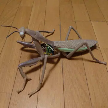 [택 포함 새상품] 리얼 빅 사이즈 피규어 사마귀2 (약 30cm)