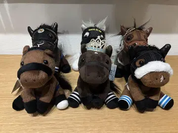 아이돌 호스 봉제 인형 모음 세트 6개