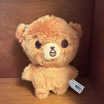 NCT 해찬 봉제 인형 이곰도