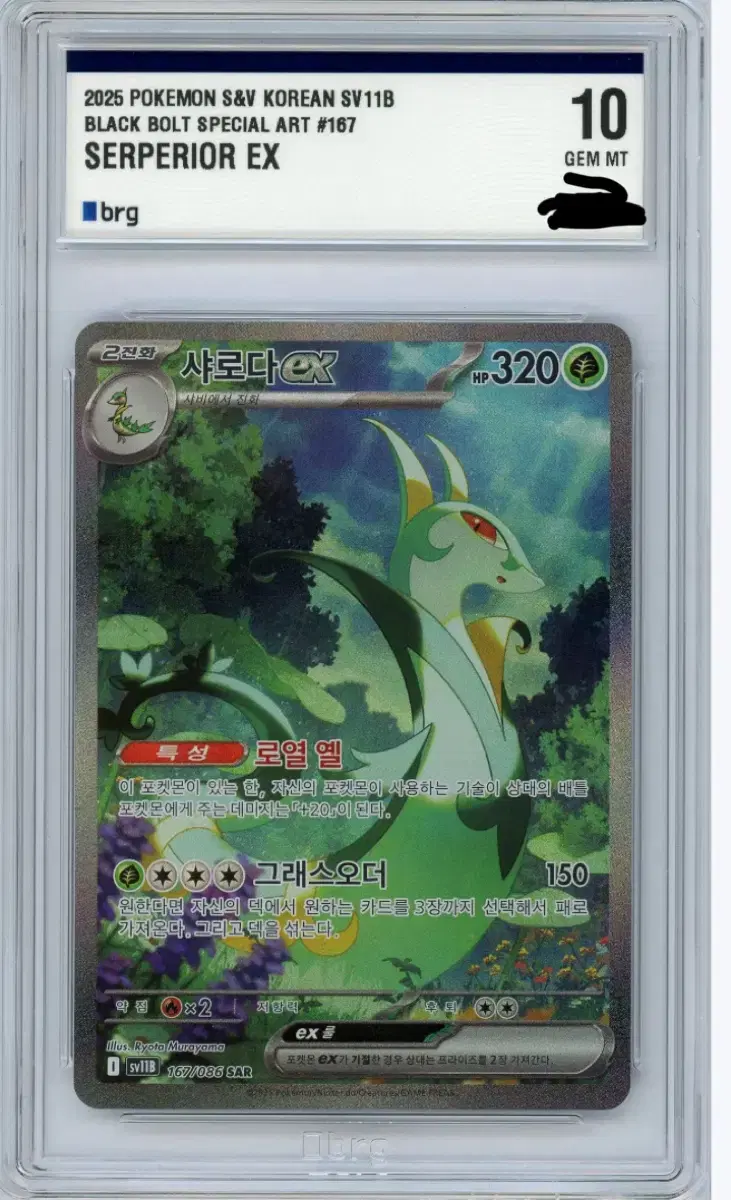 Serperior sar BRG 10