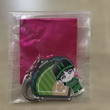 초특급 EVE 지역 한정 키링 타쿠야 효고