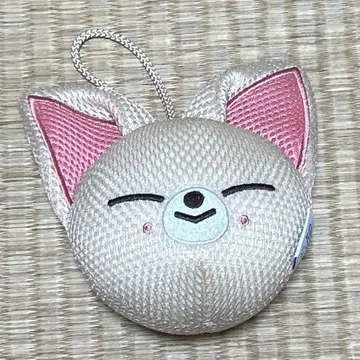 StrayKids BODY SPONGE FoxI.Ny