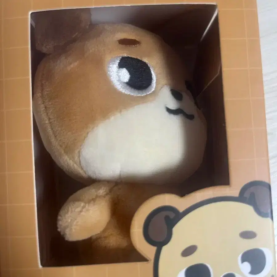 DAY6(デイシックス) ドウン(DOWOON) デニマルズ(DENIMALZ) お金 24 未