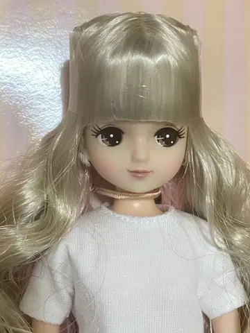 리카 캐슬 2022년 고베 산노미야 BASIC 모델 키라v2