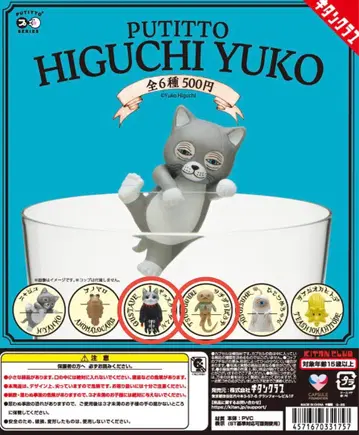 HIGUCHI YUKO 히구치 유코  군