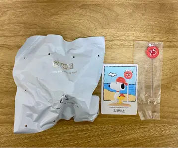 팝마트 POPMART PEANUTS 스누피 75주년 기념