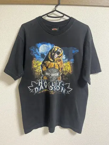 Harley-Davidson 곰 그래픽 티셔츠