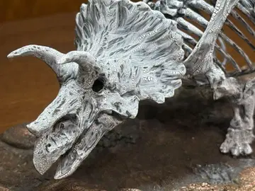트리케라톱스 골격 모델 약 20cm
