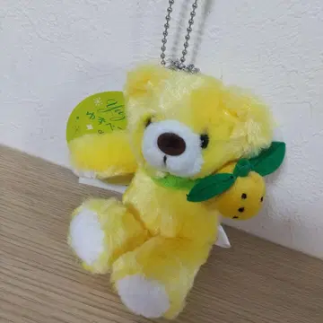 새상품 코치 유자 베어 유자 봉제인형 마스코트 키링 지역 한정