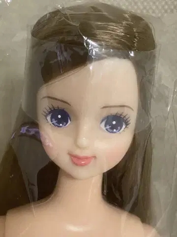 미사용 새상품 리카짱 캐슬 즐거움 인형 제니프렌드 미라이