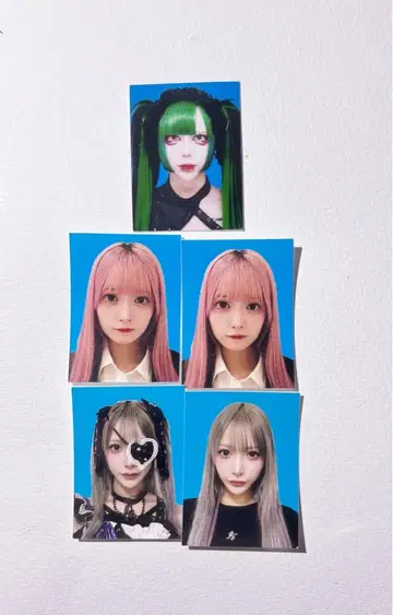증명사진 아마가미 요메  즈이쿄우 아쿠