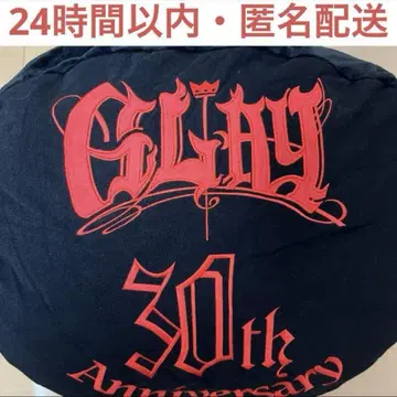 [택 포함 새상품] GIGO GLAY 페이스 쿠션 30주년 teru