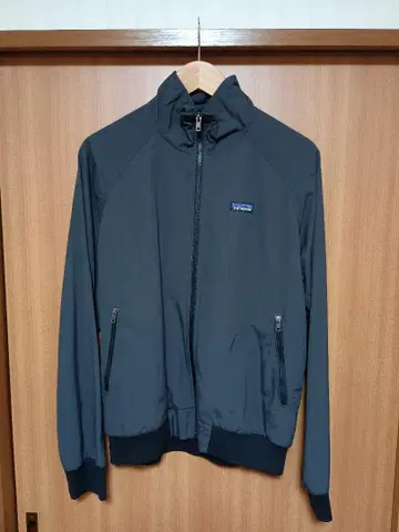 patagonia 배기즈 자켓
