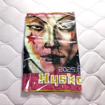 HUNTERXHUNTER 히소카 생일 타월 벌스데이