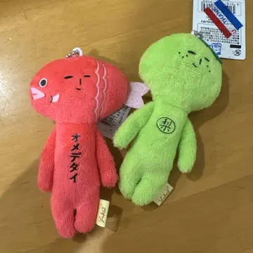 지역 한정 유키오 오메데타이 배