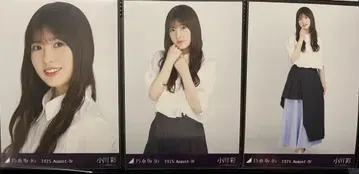 노기자카46 오가와 아야 브로마이드 컴프 비대칭