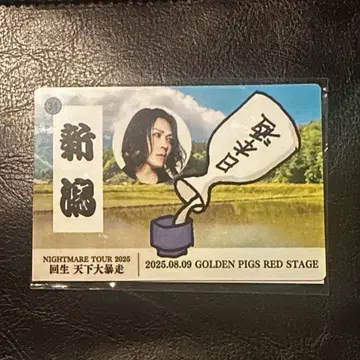 나이트메어 지역 마그넷