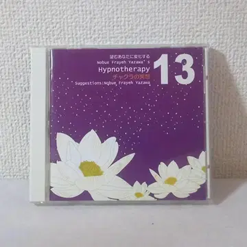 야자와 프레이 노부에 최면요법 13. 차크라 명상