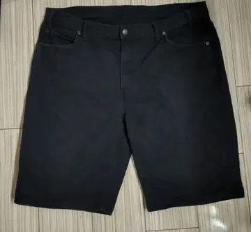 덕 원단 Dickies 숏팬츠 하프 팬츠 40 XL 상당