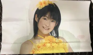 Berryz코보 츠구나가 모모코 비주얼 스크린 전신 천 포스터 등신대