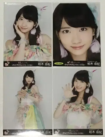 AKB48 카시와기 유키 한여름 돔 투어 회장 한정판 4장