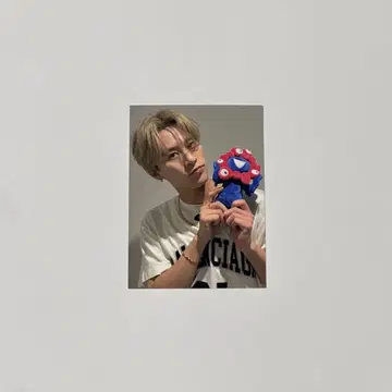 후카호리 미쿠 포토 카드