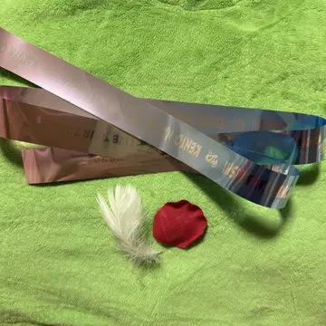 나니와단시 낙하물 장미 깃털 은박 테이프 2