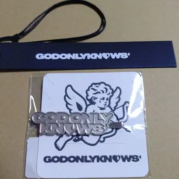 이와타 타카노리 GOD ONLY KNOWS HAIR LOGOCLIP 실버